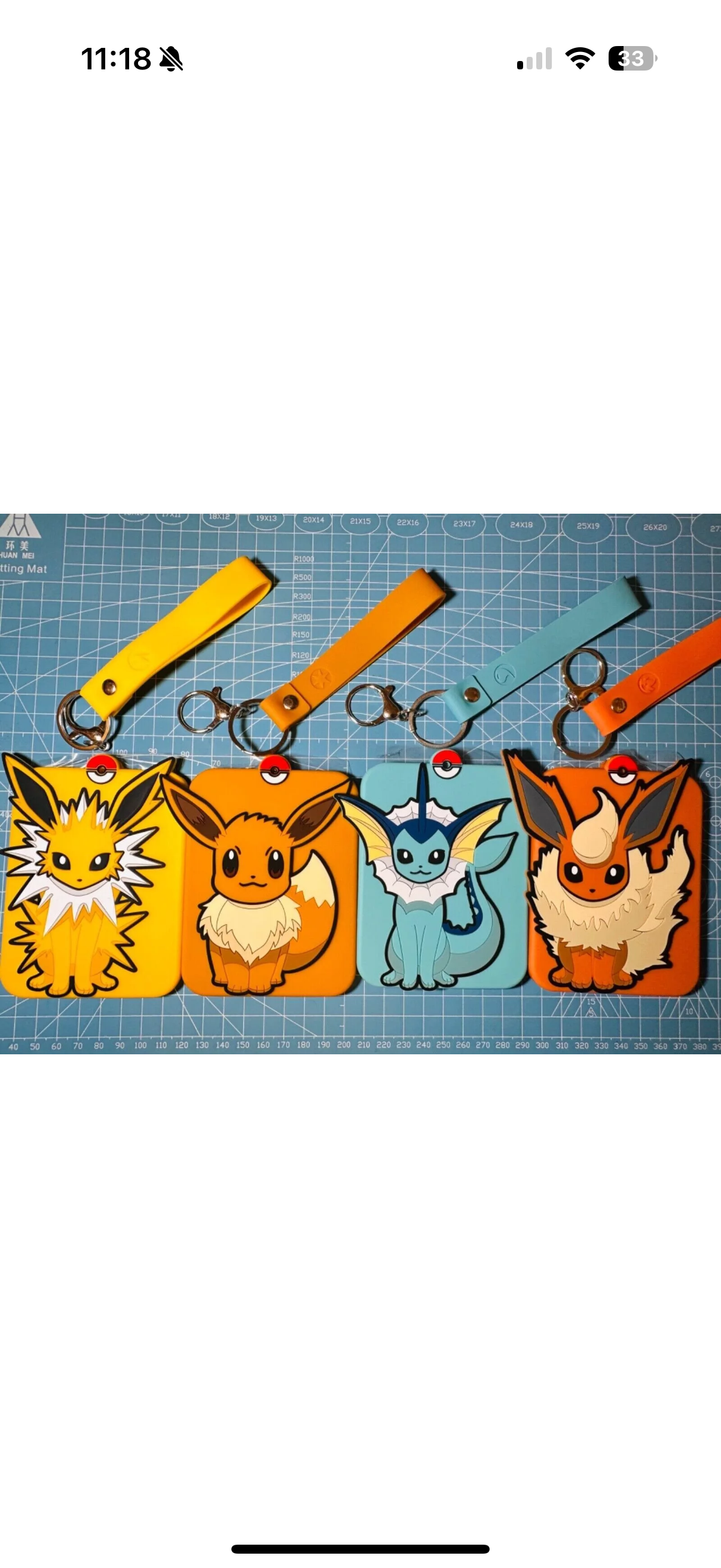 Pokemon S-Chinese Official Eeveelution Display